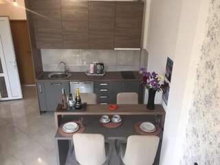 Апартаменты Green Peace Apartments with Swimming Pool Херцег-Нови Улучшенные апартаменты-16